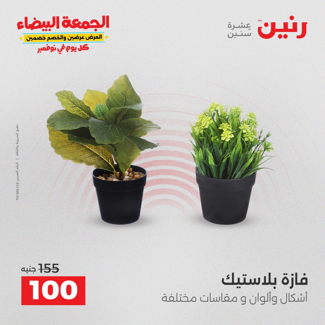 raneen offers from 11nov to 4nov 2025 عروض رنين من 11 نوفمبر حتى 4 نوفمبر 2025 صفحة رقم 83